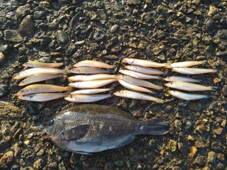 キス狙いでまさかのグレ